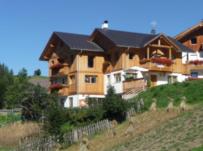 Apartments Rit Valle Di Cadore